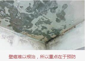 壁癌难以根治图片展示